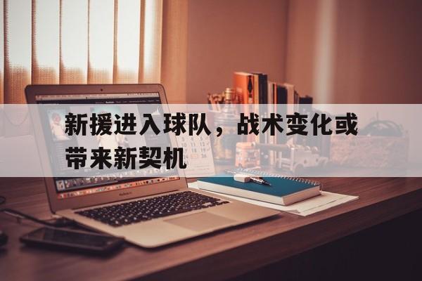 新援进入球队，战术变化或带来新契机的简单介绍