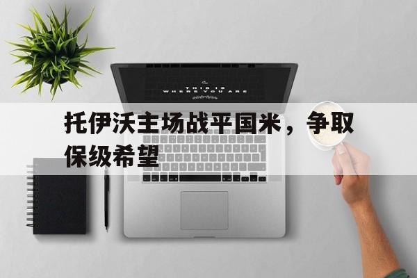 托伊沃主场战平国米，争取保级希望的简单介绍