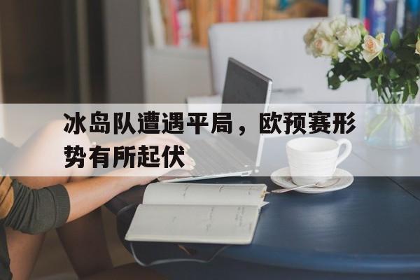 冰岛队遭遇平局，欧预赛形势有所起伏的简单介绍